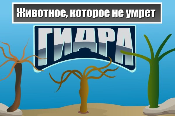 Кракен маркетплейс работает